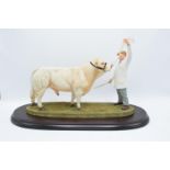 Boxed Country Artists countryside figure of a Charolais Bull - 'The Best in Show'
