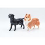 Beswick large black Labrador 1548 and Rough Collie 1791 (2) In good condition without any obvious
