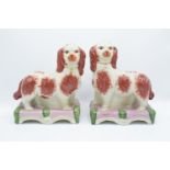 Pair of 20th century reproduction Staffordshire dogs on domed bases (2) In good condition with no
