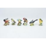 Beswick birds to include Blue tit 992, goldfinch 2273, greenfinch 2105, bullfinch 1042, gold crest
