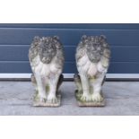 A pair of late 20th proud lions made from reconstituted stone/concrete. 43cm tall.