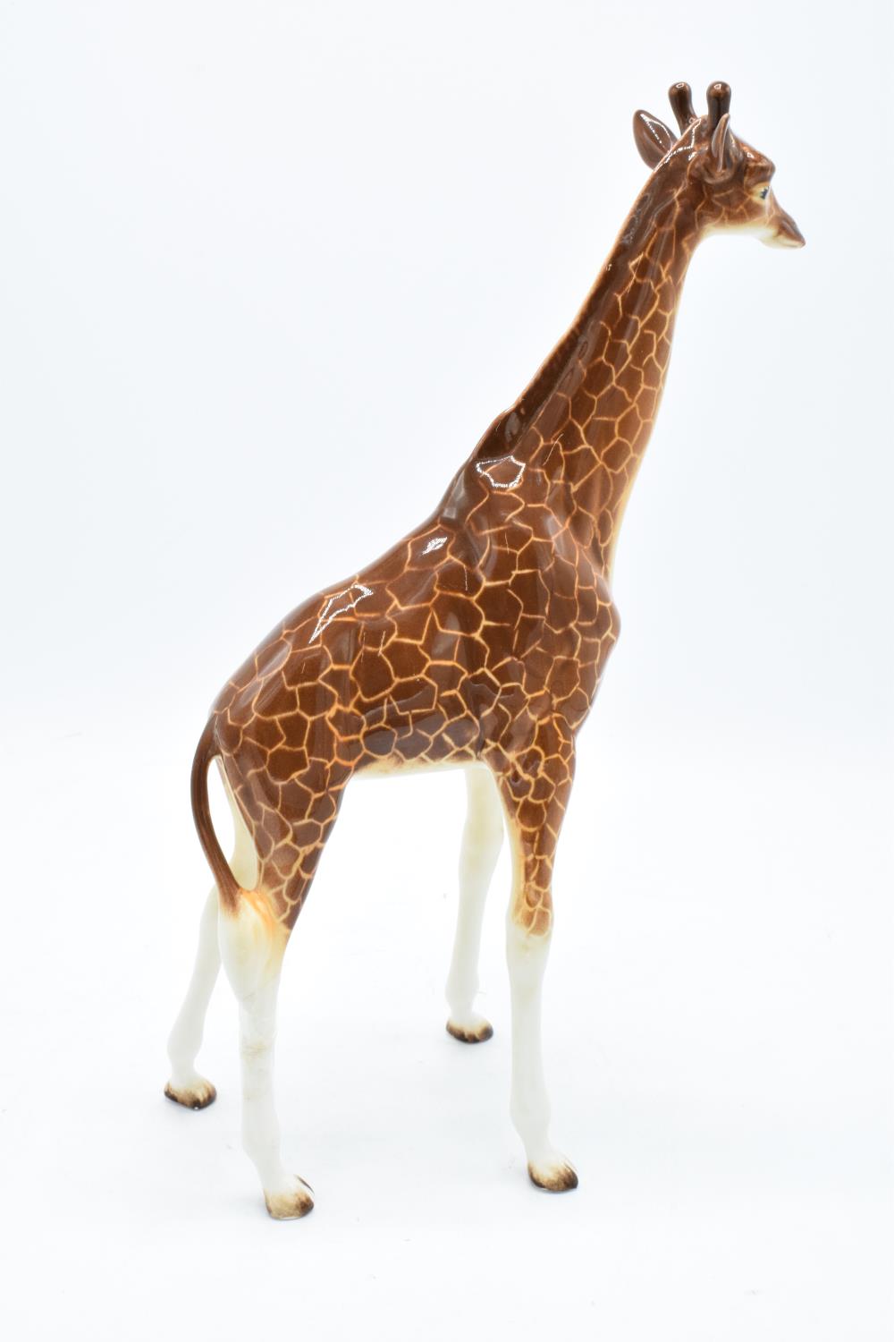 Beswick large giraffe 1631. In good condition with no obvious damage or restoration apart from one - Bild 5 aus 5