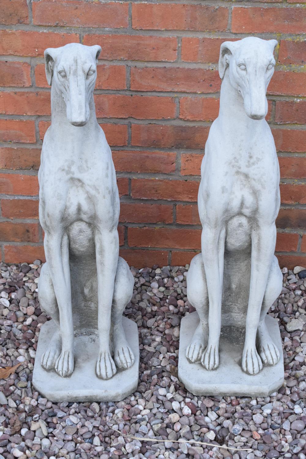 Reconstituted stone large models of greyhounds. 75cm tall. Made in England, these items are frost - Image 2 of 3