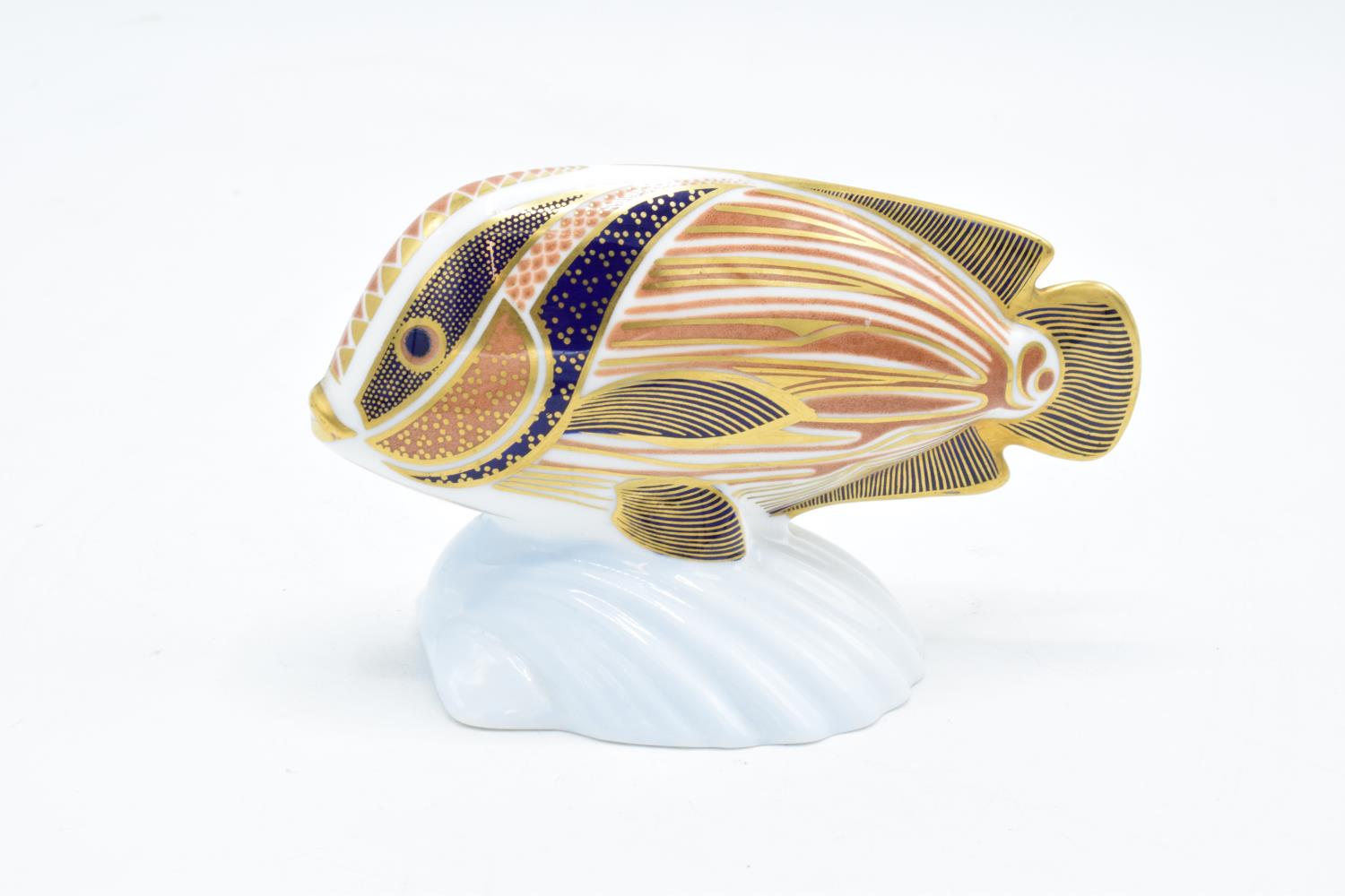 Royal Crown Derby tropical fish paperweight in the form of a Sweetlips. In good condition with no