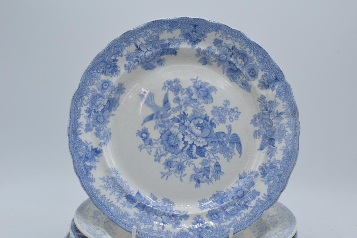 A collection of 19th century blue and white dinner plates in the Asiatic Pheasant design to - Image 3 of 4