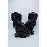 A pair of 20th century large Staffordshire dogs in a black gloss colourway with some gold highlights