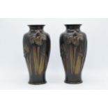 A quality pair of late 19th century Japanese Meiji period (1868 - 1912) patinated bronze vases
