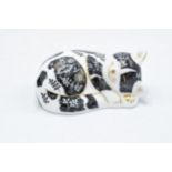 Boxed Royal Crown Derby paperweight in the form of Misty the Kitten. Exclusive for the RCD