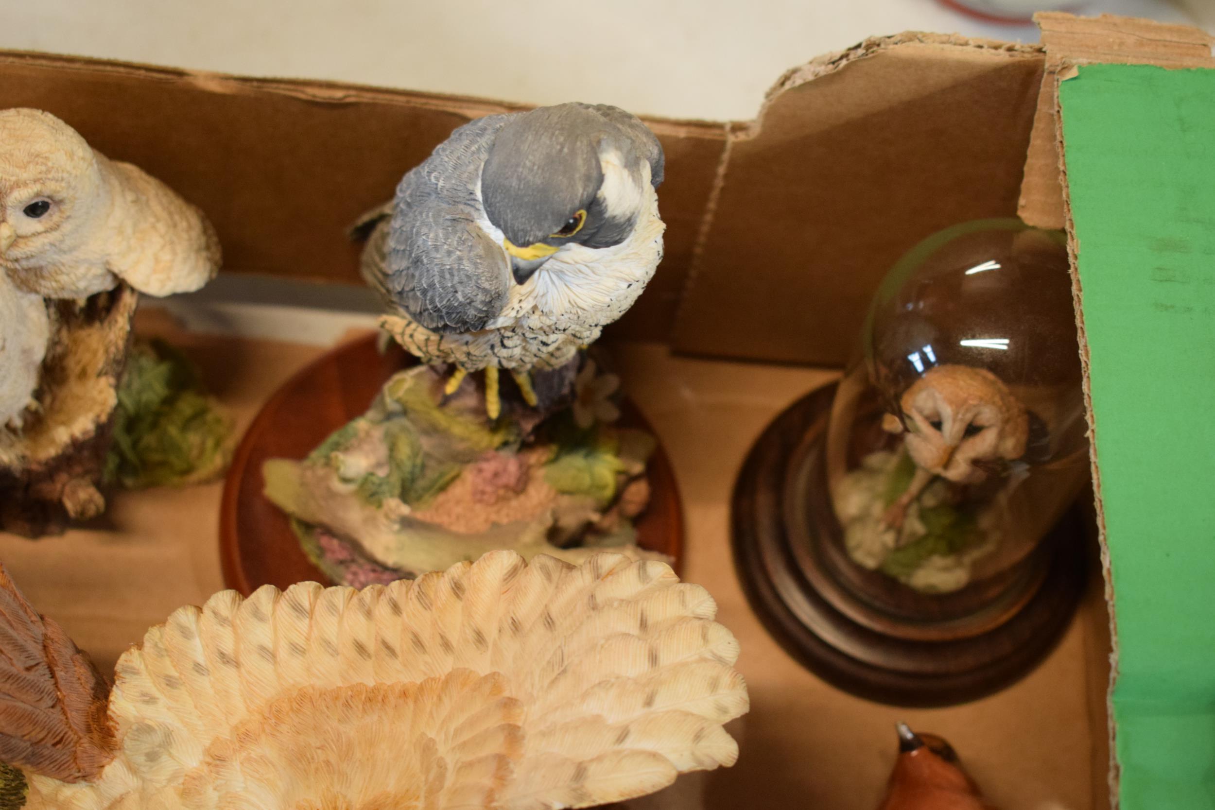 A collection of animal figures to include a Beswick Robin 980, Border Fine Arts 'Emily's Joy' JH84B, - Image 4 of 6