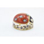 Boxed Royal Crown Derby paperweight in the form of a ladybird with seven spots. First quality with