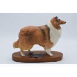 Beswick Connoisseur model of Rough Collie mounted on a wooden base. 20cm tall. In good condition