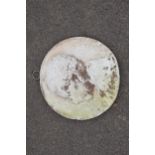 An interesting plaster cast disc resembling a penny depicting a gentleman. 38cm diameter. In good