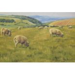 A framed oil on canvas of sheep titled 'Grazing on the Tops' by Stephen Hawkins (British Artist).