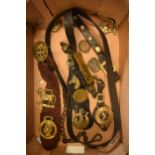 A collection of horse hames and brasses, some mounted, including card suites and various others (