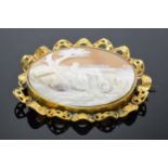 Large Victorian conch shell cameo depicting a lady with her dog in a gilt frame (restoration to