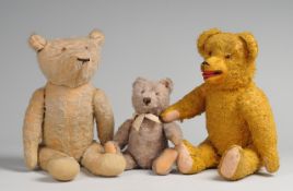 Drei historische Teddybären