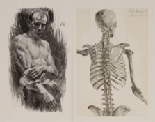 Festschrift Bugra Leipzig 1914