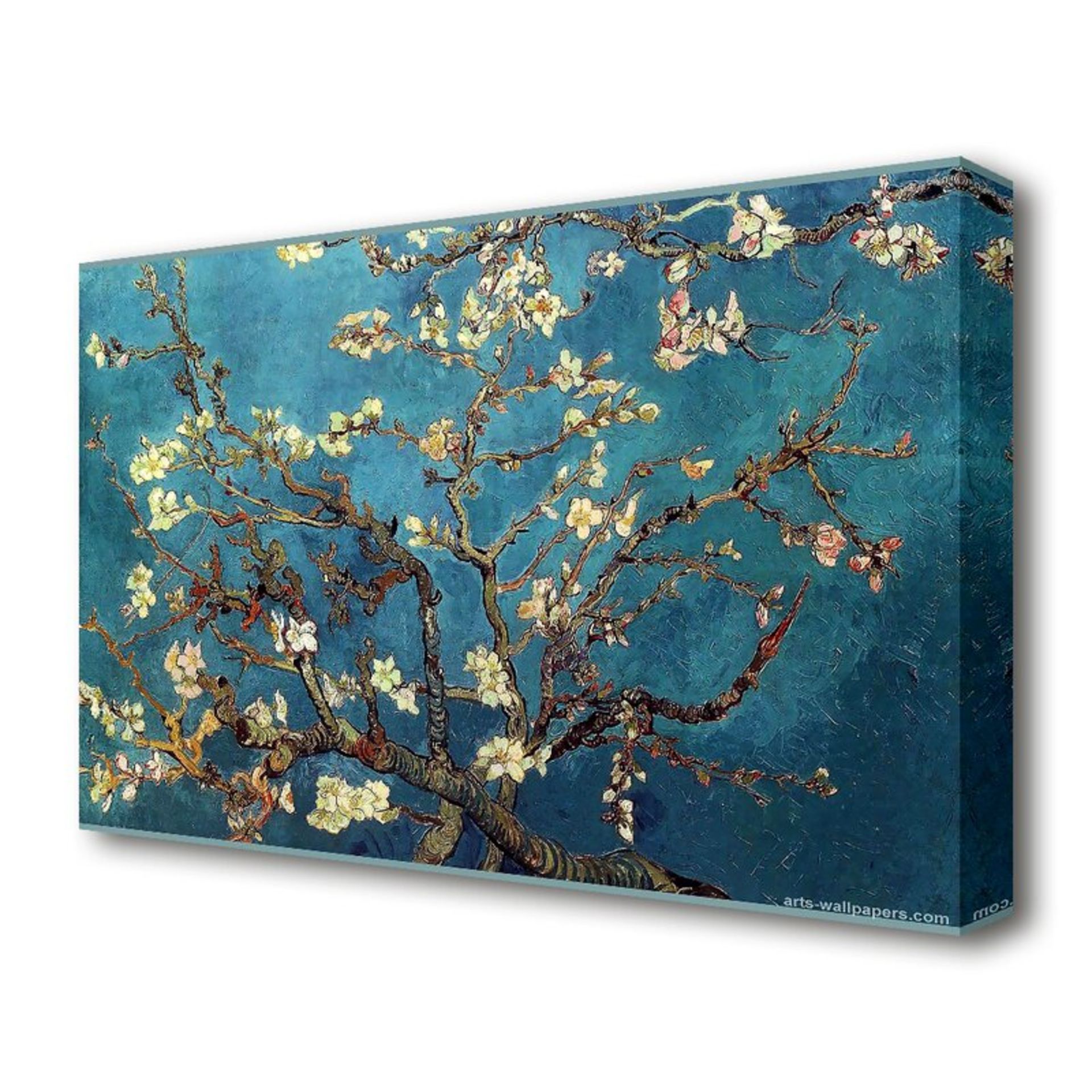 Almond Branches' by Vincent Van Gogh Oil Painting Print - RRP £66.99