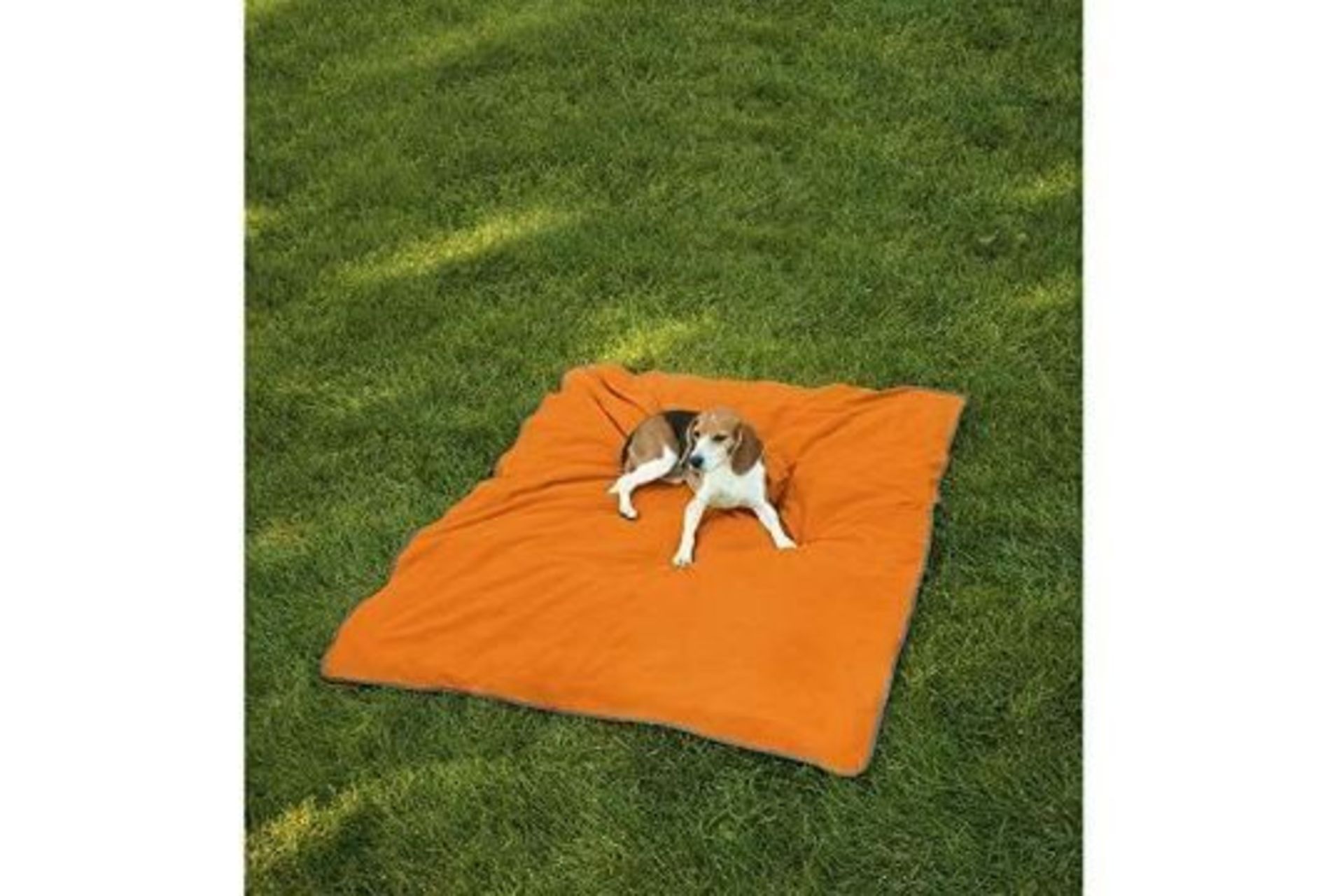 Large Insect Shield Dog Blanket With Insect Shield Repellent - Image 2 of 2