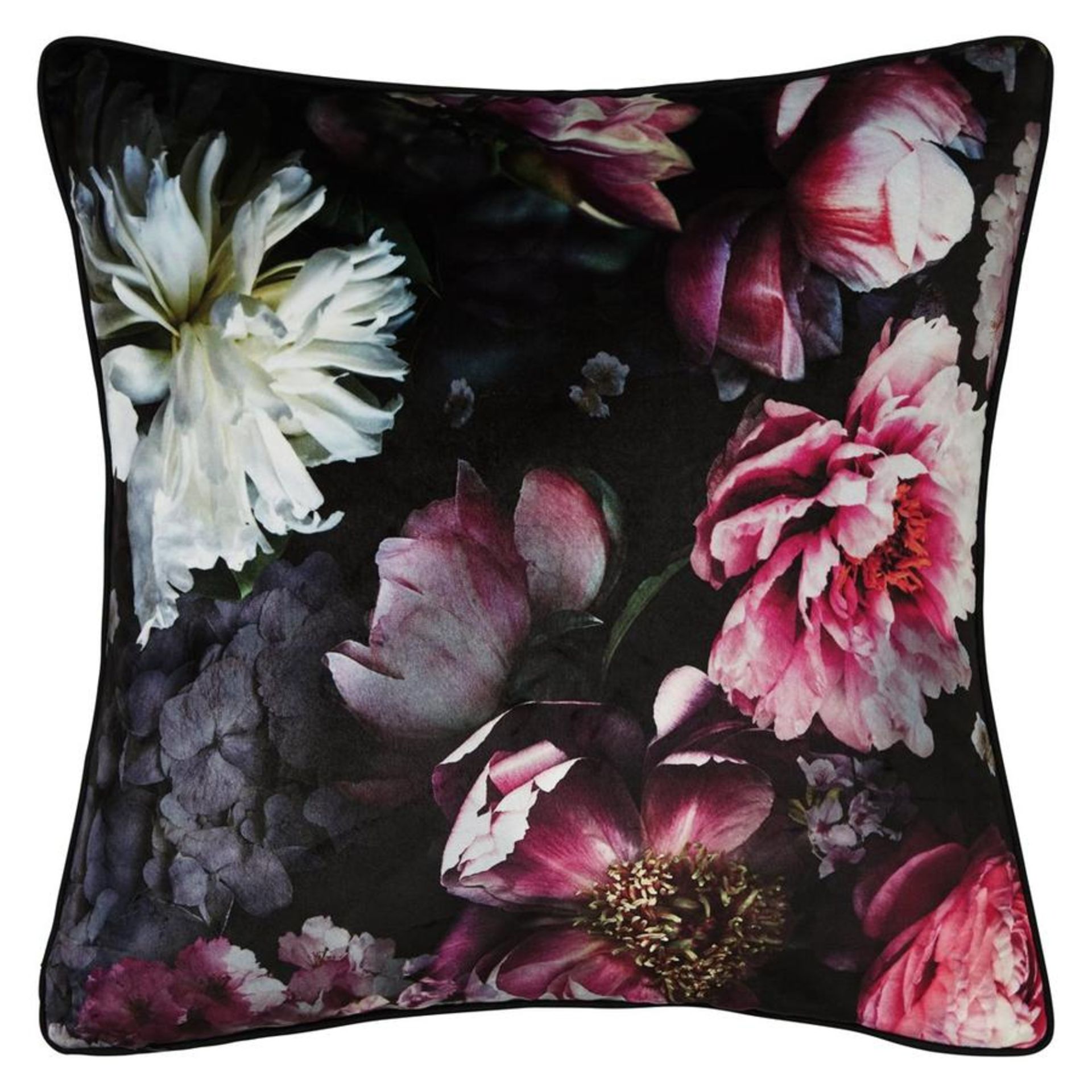 Momoka Velvet Cush & Pillow - RRP £22 - Image 2 of 2