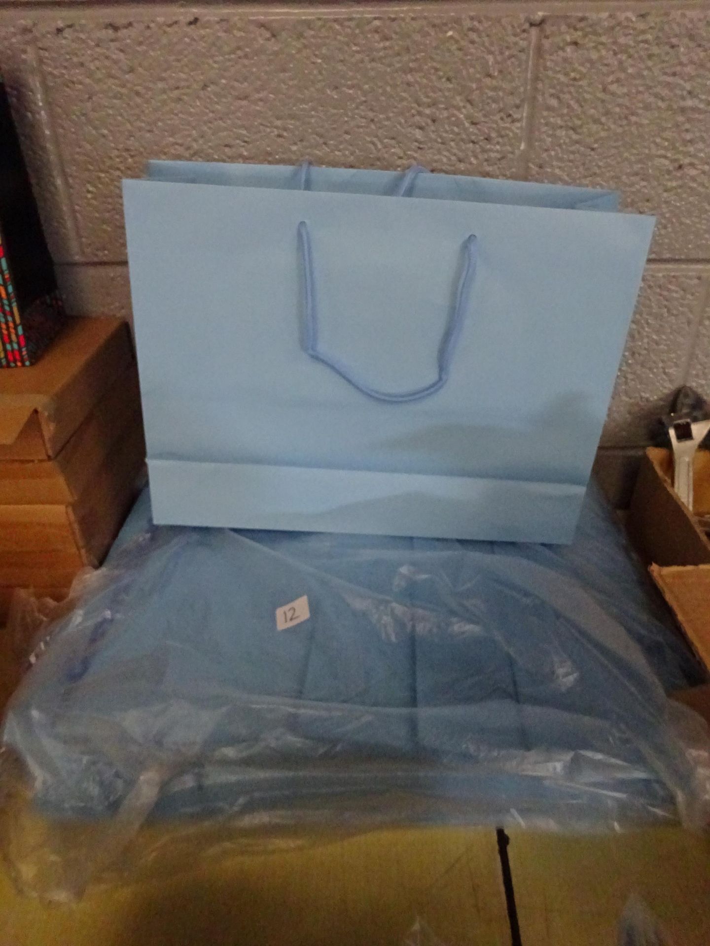 PACK OF 12 LG BLUE GIFT BAGS