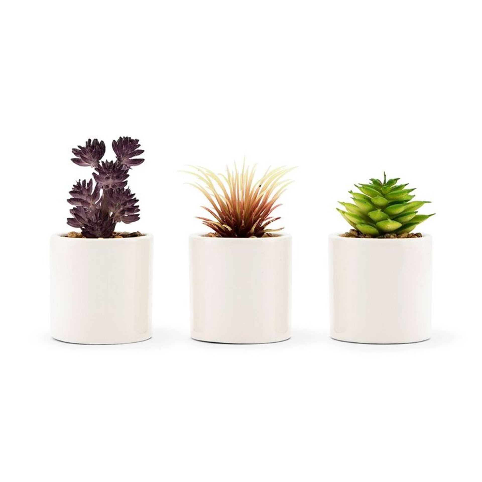 6 Artificial Foliage Succulent in Pot Set - RRP £27.99