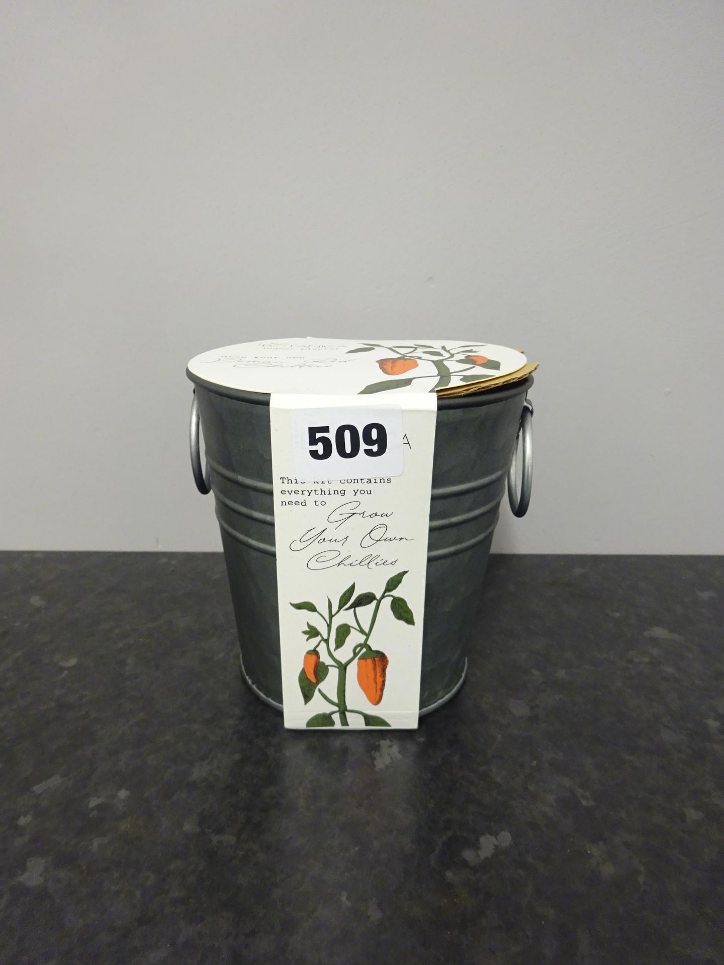 Grow Your Own Chillis - RRP £10