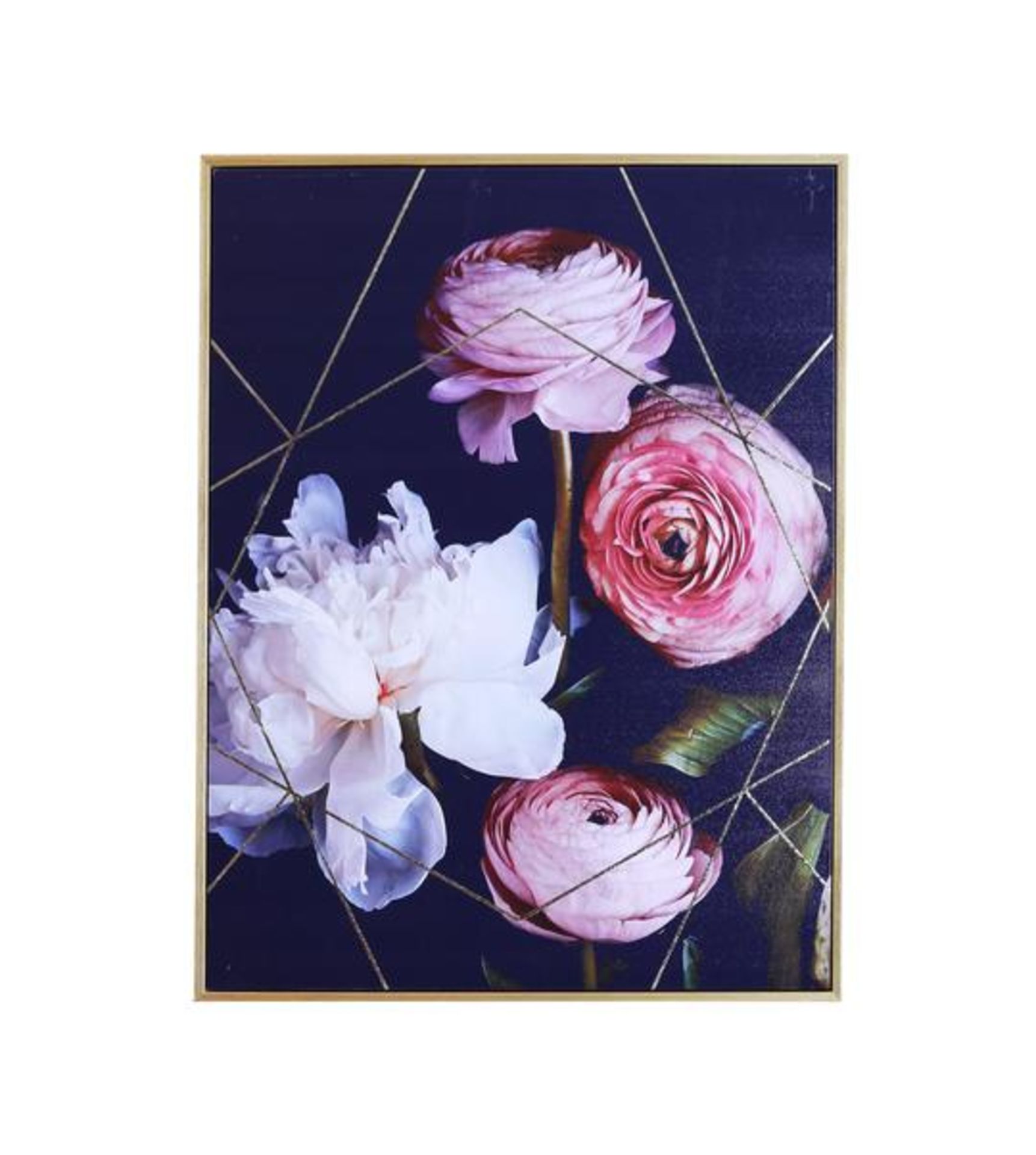 Dark Floral Capped Canvas - RRP £45.00