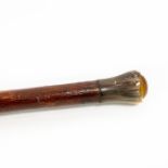 Bakelite And Horn Handle Cane