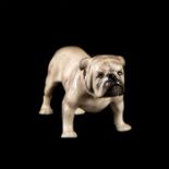 Small Royal Doulton Dog Figurine, Bulldog, Standing