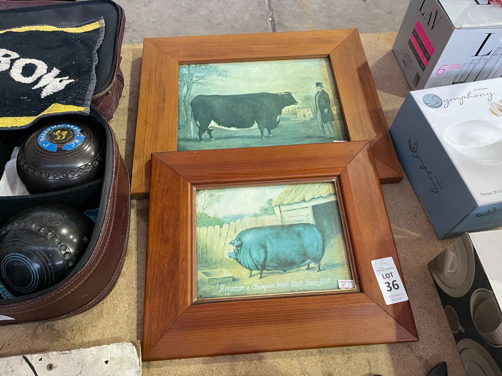 VINTAGE COW AND BOAR FRAMED PRINTS