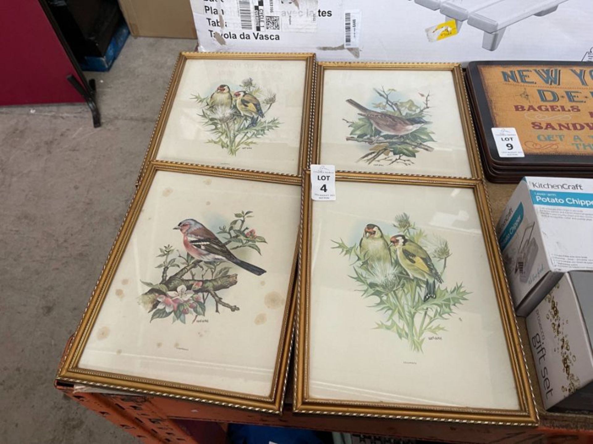 SET OF 4X FRAMED BIRD PRINTS