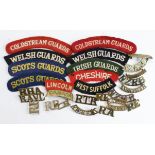 Shoulder titles, various types metal and cloth. (Qty)