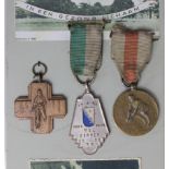 Dutch 1931-1945 political achievement medals, badges mounted on card with photos.