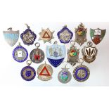 Silver Fobs (14 plus one bronze) sports and clubs, some interesting types including Kitten Show,