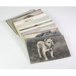 Dogs, varied original assortment, better artists & bulldogs noted (approx 90 cards)