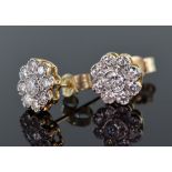 18ct yellow gold diamond daisy cluster stud earrings consisting of a central round brilliant cut
