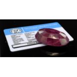 230ct Oversized Large natural Ruby certified by GLI