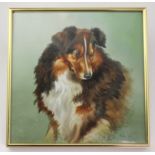 Dog interest. A large hand painted ceramic tile depicting a Sable Collie dog, initialed by artist '