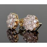 18ct yellow gold diamond daisy cluster stud earrings consisting of a central round brilliant cut