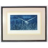 Peter Beeson. Dusk Barn Owl Limited edition print 5/40. Signed in pencil. Framed and glazed.