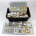 Black tray containing approx 69 complete Cigarette Card sets, in sleeves and loose in bundles, but
