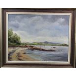 Nan Parker, Oil on board depicting a coastal scene. Signed lower left. Mounted in a wood frame.