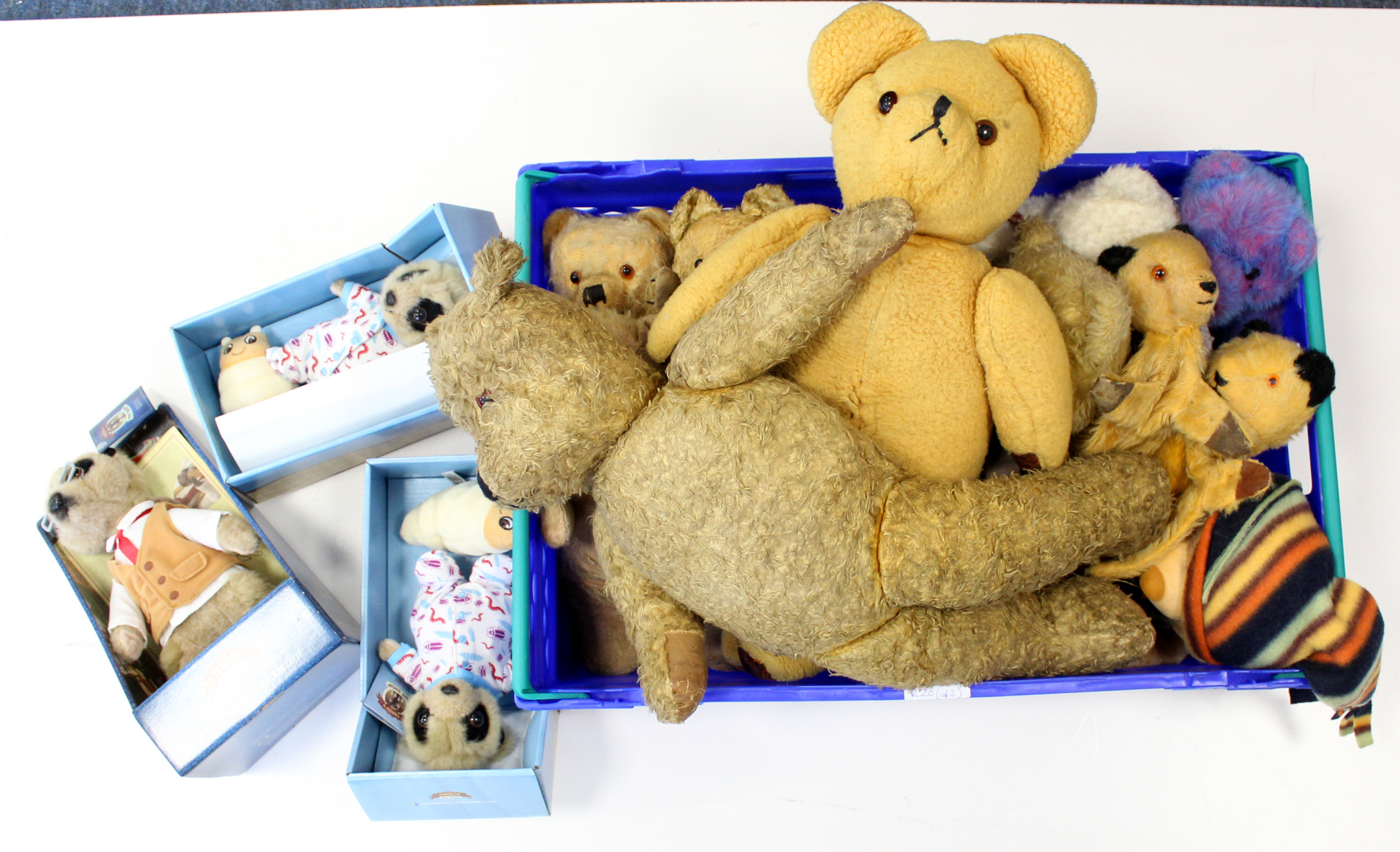 Bear Interest- From a single owner collection. 20th century bears and modern to include two Sooty