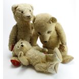 Teddy Bear Interest. Single owner collection. Early 20th century examples to include; long white