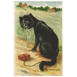 Louis Wain, unknown English publisher, The Ninth Life