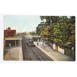 Railway Station postcard. Westcliffe-on-Sea Essex (interior, with steam train)