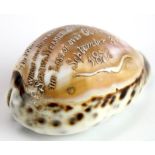 Victorian shell with carved inscription 'In Memoriam of the Wreck of the Princess Alice, Which was