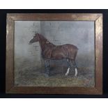 Rooper, F C. Oil on canvas of a Bay racing horse in a stable. Worn with some holes to canvas.