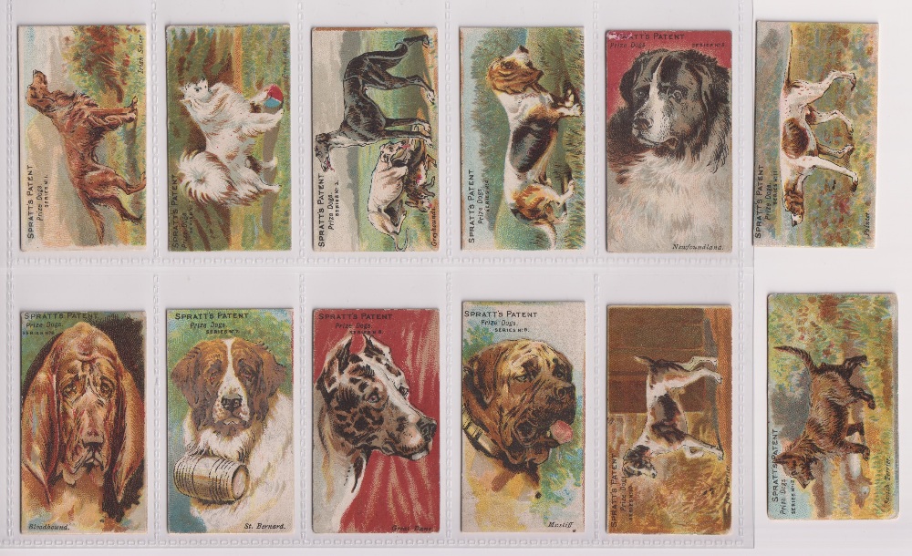 Trade cards, Spratt's, Prize Dogs (set, 12 cards) (one with scuffed back, no 11, rest gd) (12)